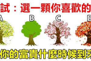 測：選一顆你喜歡的樹？測你的富貴什麼時候到來？