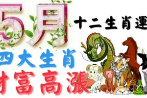 5月十二生肖運勢四大生肖財富高漲！