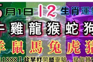 【12生肖運勢】5月1日星期二【11888】趁早打開越靈驗，點個贊吧！