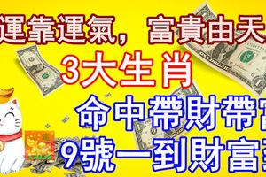 財運靠運氣，富貴由天定，3大生肖命中帶財帶富，9號一到財富到