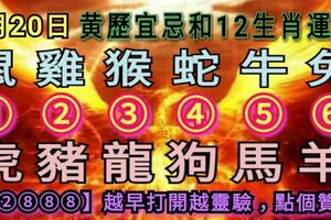 6月20日，黃歷宜忌和12生肖運程