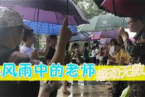 暴雨突襲，老師的這組照片，感動無數網友