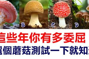 這些年你有多委屈，選個蘑菇測試一下就知道