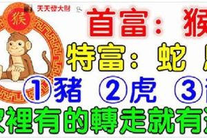 7月份：你家裡有生肖【猴蛇馬豬虎龍】嗎？家裡有的轉走就有運，沒有就算了