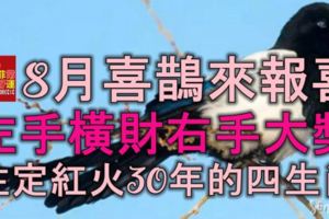 8月喜鵲來報喜，左手橫財，右手大獎，註定紅火30年的四生肖