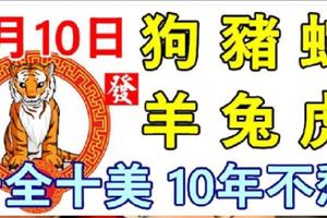 7月10日生肖運勢_狗、豬、蛇大吉