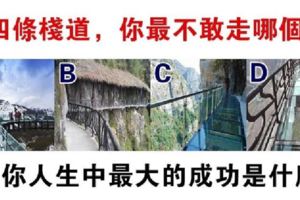 心理測試：你不敢走哪個棧道？測你這輩子哪方面最成功！好準喔！