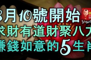 8月10號開始，求財有道財聚八方，賺錢如意的五大生肖