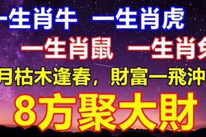 9月枯木逢春，財富一飛沖天，8方聚大財，日子不苦只甜的生肖