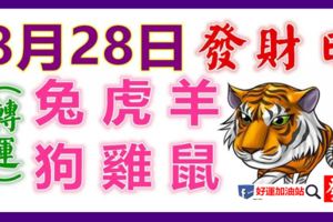 8月28日生肖運勢_兔、虎、羊大吉