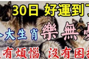 8月30日好運到，八大生肖樂無憂，沒有煩惱，沒有困擾