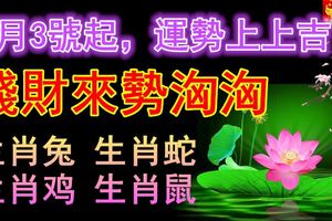 9月3號起，運勢上上吉！錢財來勢洶洶，人生大方光彩的生肖