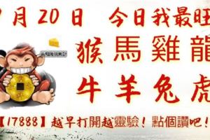 9月20日，今日我最旺！猴馬雞龍牛羊兔虎！【17888】越早打開越靈驗！點個讚吧！