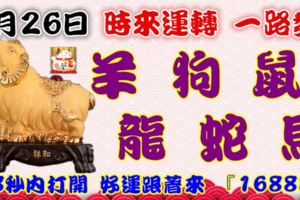 9月26日時來運轉一路發，羊狗鼠龍蛇馬，88秒內打開好運跟著來『16888』