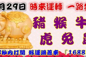 9月29日時來運轉一路發，豬猴牛虎兔鼠，88秒內打開好運跟著來『16888』