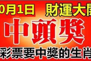 10月1日，必中頭獎的6大生肖，快去買彩票吧！