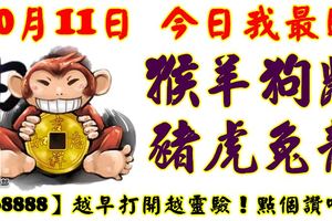 10月11日，今日我最旺！猴羊狗鼠豬虎兔龍！【68888】越早打開越靈驗！點個讚吧！