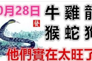 10月28日生肖運勢_牛、雞、龍大吉