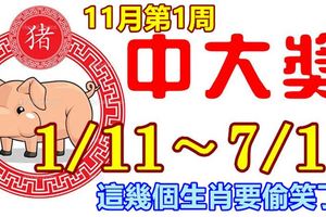 11月第1周這幾個生肖要偷笑了，橫財不斷中大獎，(01/11~07/11)