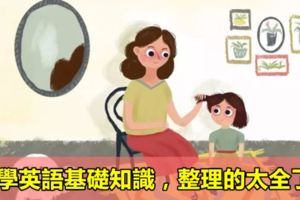 ​小學英語基礎知識，整理的太全了！