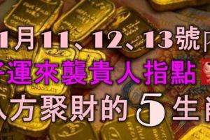 11月11、12、13號內，好運來襲，貴人指點，八方聚財的5大生肖！