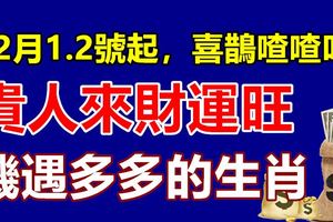 12月1.2號起，喜鵲喳喳叫，貴人來財運旺，機遇多多的生肖