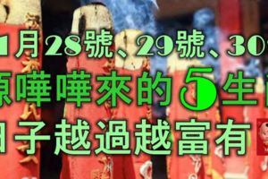 11月28號、29號、30號，財源譁譁來的5大生肖，日子越過越富有！