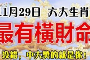 11月29日，最有橫財命的六大生肖，100%靈驗