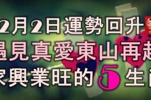 12月2日起運勢回升，遇見真愛東山再起，家興業旺發橫財的5生肖！