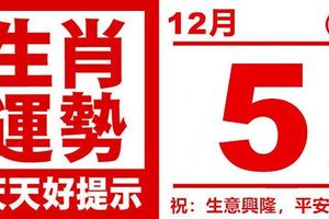 生肖運勢，天天好提示（12月05日）