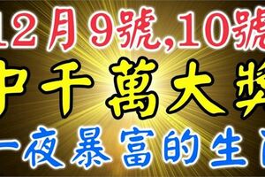 12月9號10號，2天內有望中一次千萬大獎，接住必一夜暴富的6大生肖