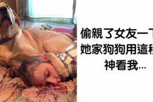 太愛主人了～　17隻「比男女朋友更會吃醋」的獨佔欲毛孩