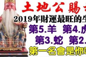 土地公賜福，2019年最旺財運的5大生肖