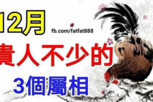 12月貴人不少的3個屬相，天冷有人送冬衣，困難有人來相助