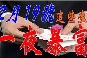 12月19號，發橫財中大獎，有望一夜暴富的生肖