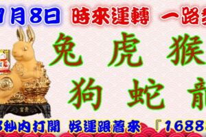 1月8日時來運轉一路發，兔虎猴狗蛇龍，88秒內打開，好運跟著來『16888』