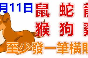 1月11日生肖運勢_鼠、蛇、龍大吉