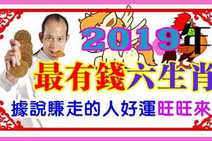 2019豬豬年最有錢六大生肖，　據說賺走的人好運旺旺來