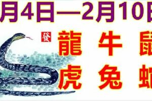 12生肖一周運勢（2月4日—2月10日）