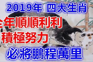 2019年順順利利的四大生肖，積極努力，必將鵬程萬裡