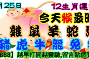 2019年4月25日，星期四農歷三月廿一（己亥年戊辰月壬辰日）