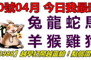 30號04月，今日我最旺！兔龍蛇馬羊猴雞狗！【30988】越早打開越靈驗！點個讚吧！