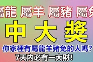 你家裡有屬龍羊豬兔的人嗎？今天請為他們積財積福，7天內必有一大財