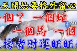 今天開始要格外留心了，一個？，一個蛇，一個馬，一個？，財運旺旺來