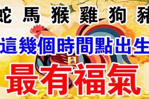 屬【蛇馬猴雞狗豬】的人，這幾個時間點出生最有福氣