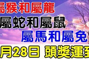 這些生肖，8月28日，財富大爆發，頭獎運到