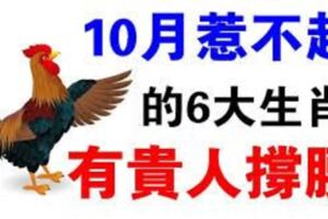 喜上加喜！6生肖「惹不起」10月有貴人撐腰，福氣伴隨日子無憂