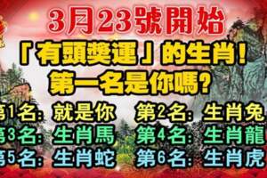 3月23號開始（最有頭獎運）的生肖