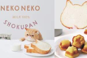 日本超夯人氣「貓咪生吐司」將於今年九月空降來台!!!採用百分百國產小麥和牛奶製成,超可愛造型加上超柔嫩口感讓眾貓奴們群起為之瘋狂~~~