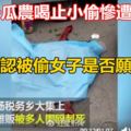 河北一瓜農喝止小偷慘遭刺死家屬：還沒確認被偷女子是否願意作證